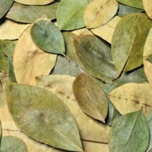 Where to buy coca leaves in Canada Online