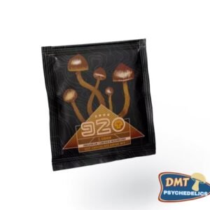 Room 920 Hot Chocolate – 1000mg