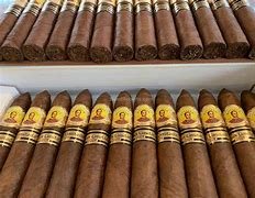 Bolivar Petit Belicoso 2009 Limited Edition
