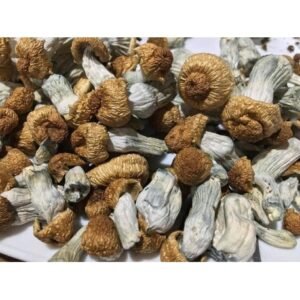 Buy Psychedelics Online