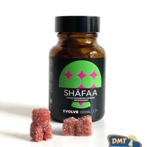 Shafaa Evolve Magic Mushroom Microdosing Gummy Bears