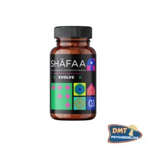 Shafaa Evolve Magic Mushroom Microdosing Cognition Capsules