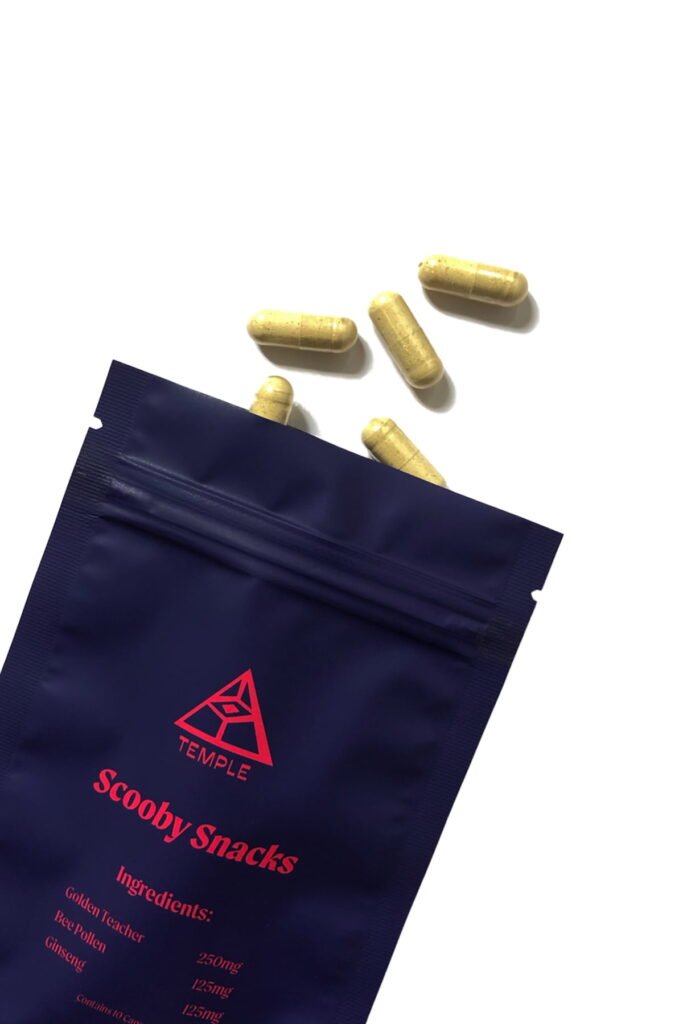 Temple Teleport Sample Pack (20 Pieces of Magic Mushroom Tea + Chocolate ChocoNaut + Scooby Snacks)
