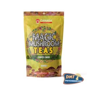 USA Mushrooms Tea | 1000MG | Ginger Lemon