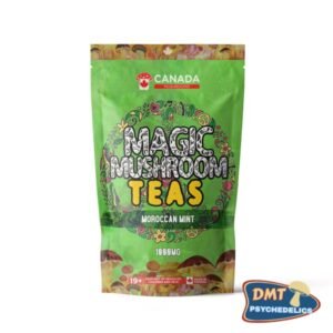 USA Mushrooms Tea | 1000MG | Moroccan Mint