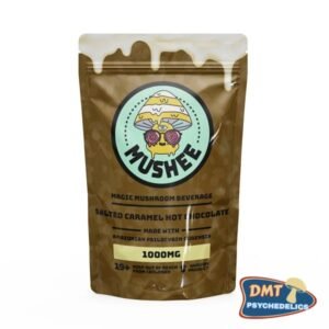 Magic Mushroom Salted Caramel Hot Chocolate Drink Mix – 1000MG – Mushee